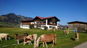 Haflinger Hof Obermaiselstein